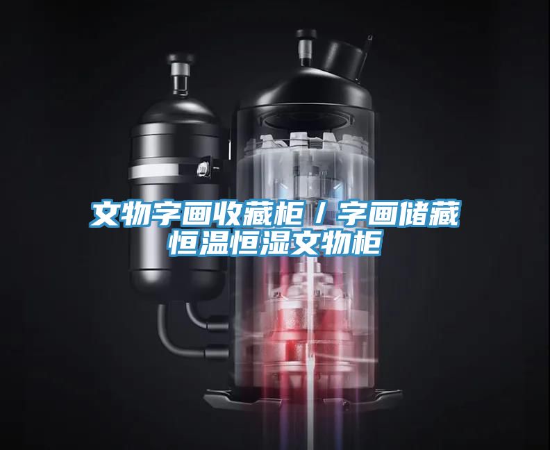 文物字畫收藏柜／字畫儲(chǔ)藏恒溫恒濕文物柜