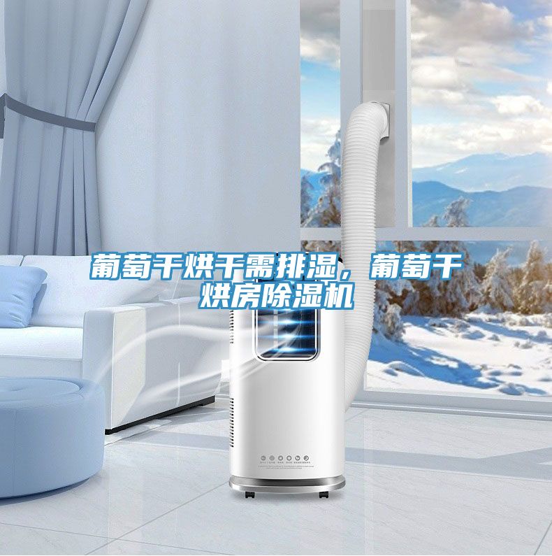 葡萄干烘干需排濕，葡萄干烘房除濕機