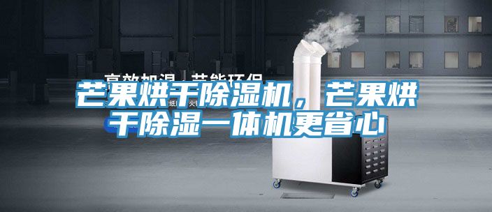 芒果烘干除濕機,芒果烘干除濕一體機更省心