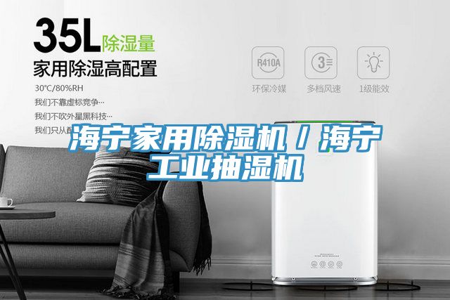 海寧家用除濕機/海寧工業抽濕機