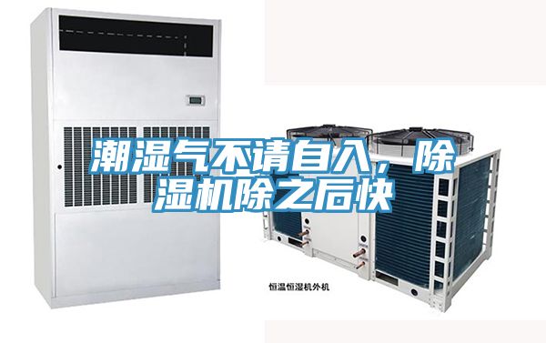 潮濕氣不請自入，除濕機除之后快