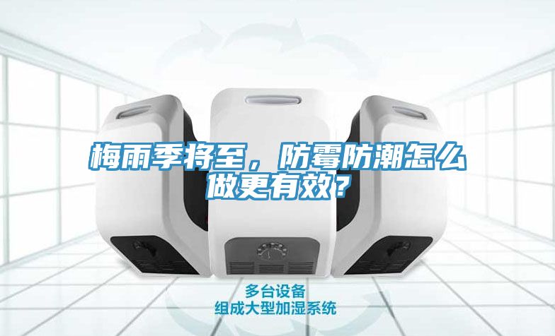 梅雨季將至，防霉防潮怎么做更有效？