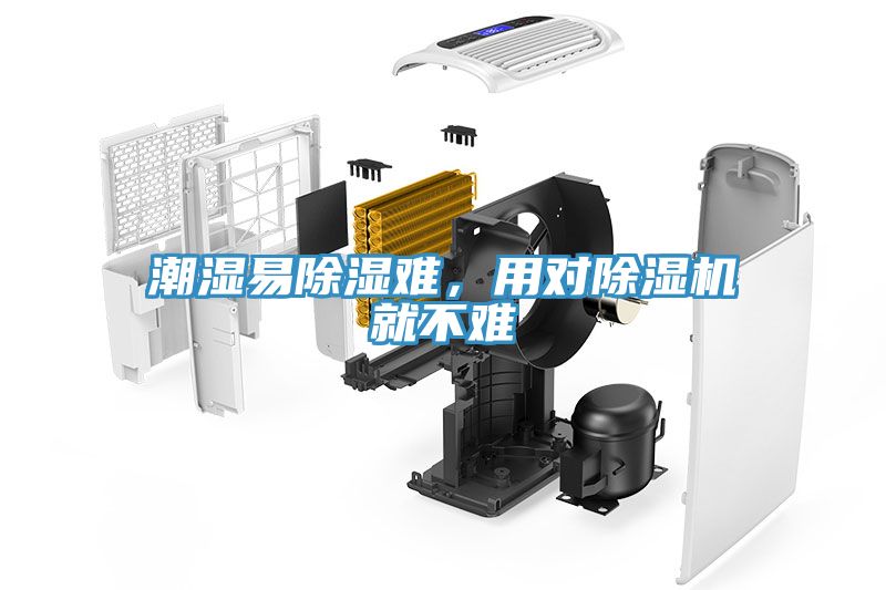 潮濕易除濕難，用對除濕機就不難