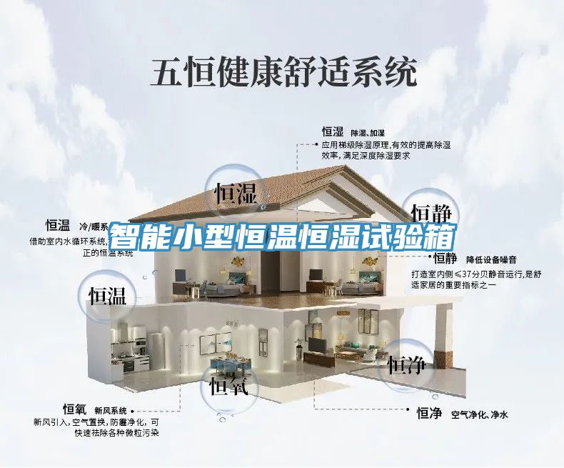 智能小型恒溫恒濕試驗箱
