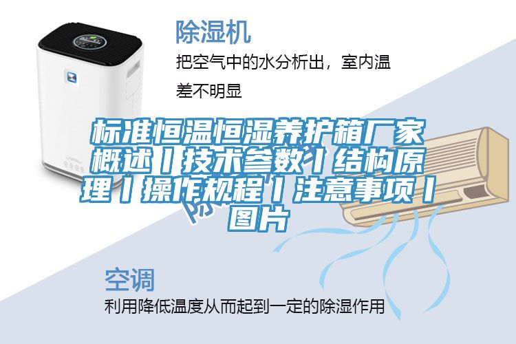 標準恒溫恒濕養(yǎng)護箱廠家概述丨技術(shù)參數(shù)丨結(jié)構(gòu)原理丨操作規(guī)程丨注意事項丨圖片