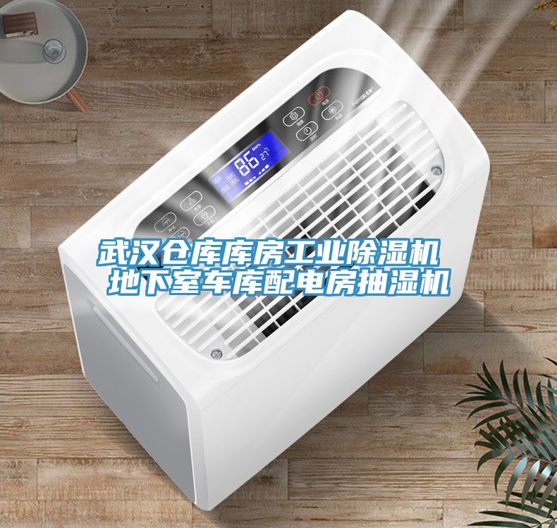 武漢倉庫庫房工業除濕機 地下室車庫配電房抽濕機
