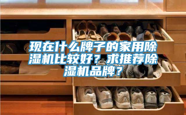 現在什么牌子的家用除濕機比較好？求推薦除濕機品牌？