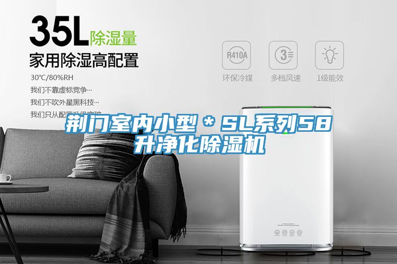 荊門室內(nèi)小型＊SL系列58升凈化除濕機