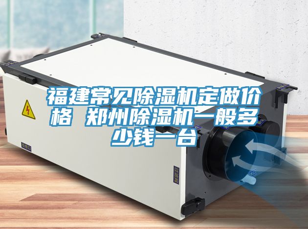 福建常見除濕機(jī)定做價格 鄭州除濕機(jī)一般多少錢一臺