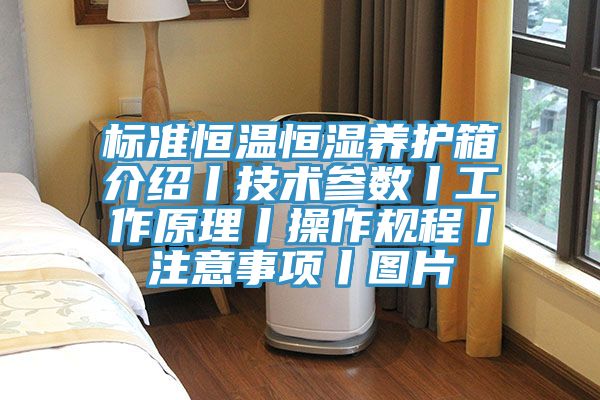 標準恒溫恒濕養(yǎng)護箱介紹丨技術(shù)參數(shù)丨工作原理丨操作規(guī)程丨注意事項丨圖片