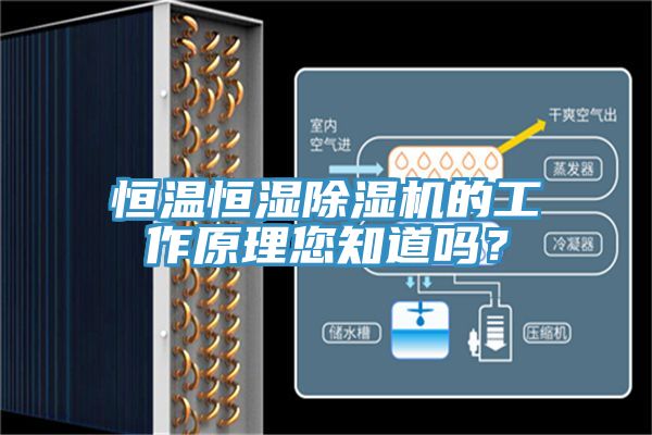恒溫恒濕除濕機的工作原理您知道嗎？