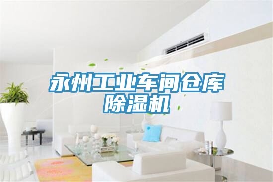 永州工業(yè)車間倉庫除濕機(jī)