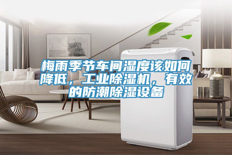 梅雨季節車間濕度該如何降低，工業除濕機，有效的防潮除濕設備