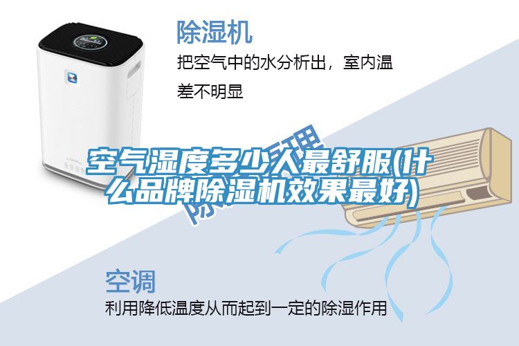 空氣濕度多少人最舒服(什么品牌除濕機(jī)效果最好)