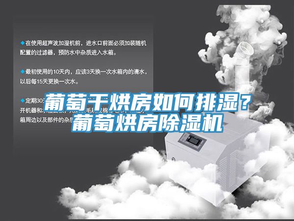 葡萄干烘房如何排濕？葡萄烘房除濕機