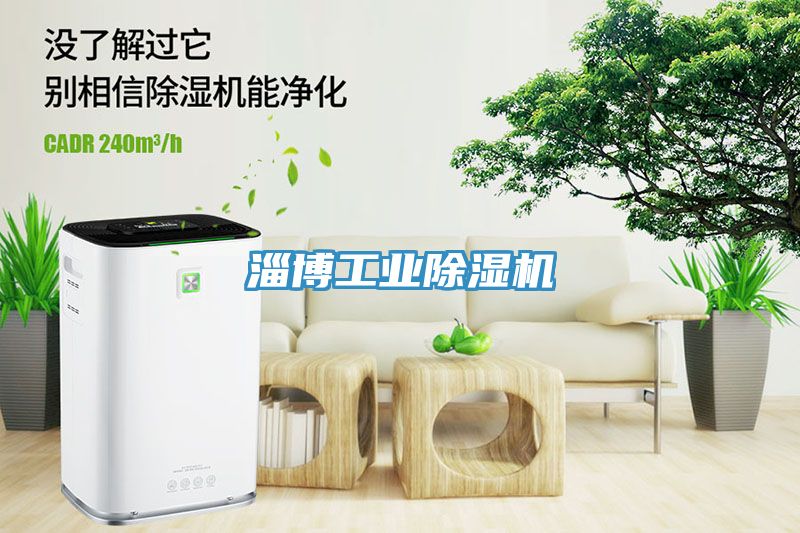 淄博工業除濕機