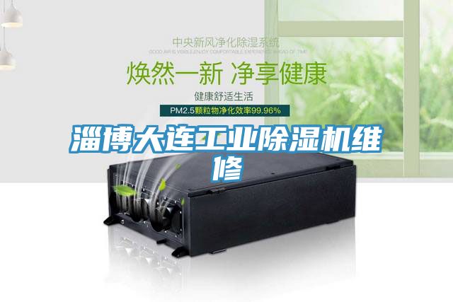 淄博大連工業除濕機維修