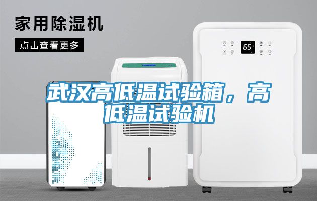 武漢高低溫試驗箱，高低溫試驗機