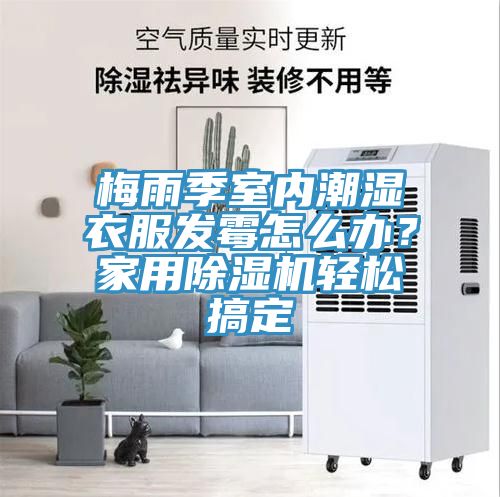 梅雨季室內潮濕衣服發霉怎么辦？家用除濕機輕松搞定