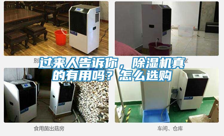過來人告訴你，除濕機真的有用嗎？怎么選購