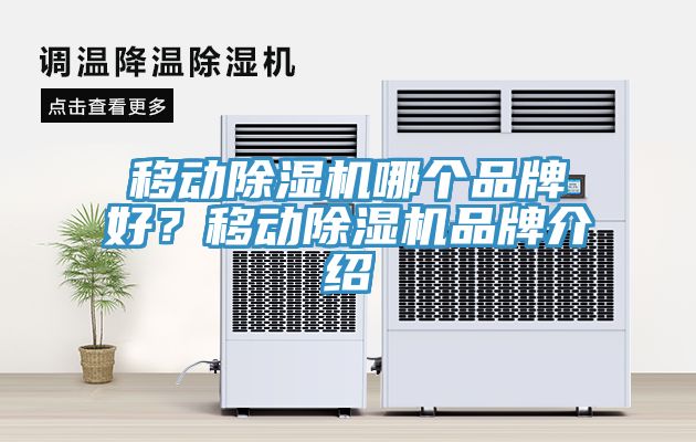 移動(dòng)除濕機(jī)哪個(gè)品牌好？移動(dòng)除濕機(jī)品牌介紹