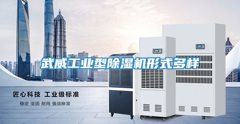 武威工業型除濕機形式多樣