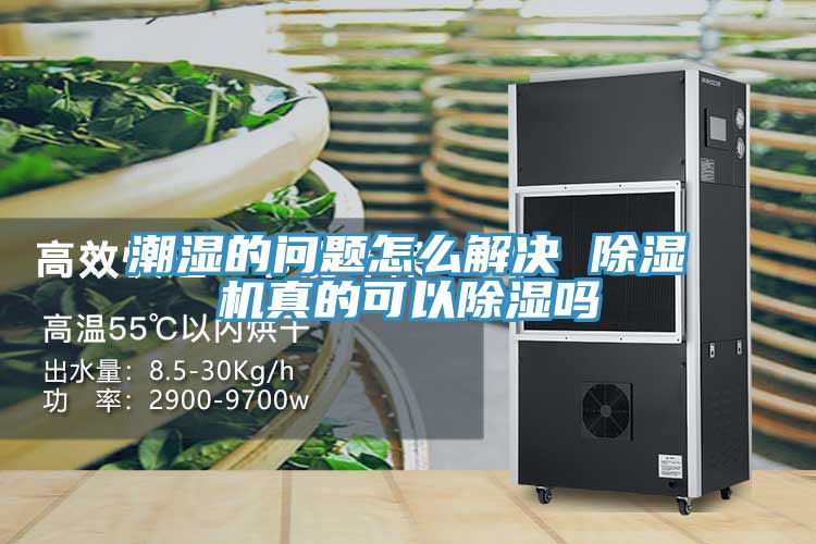 潮濕的問題怎么解決 除濕機真的可以除濕嗎