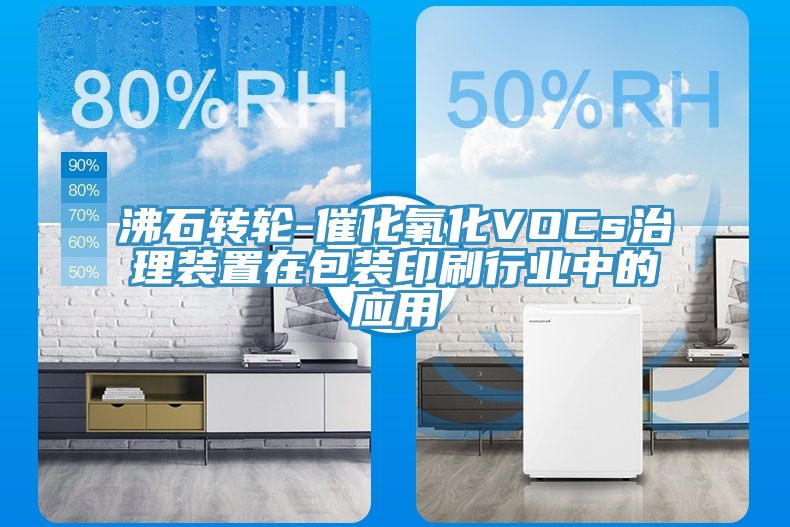 沸石轉輪-催化氧化VOCs治理裝置在包裝印刷行業中的應用
