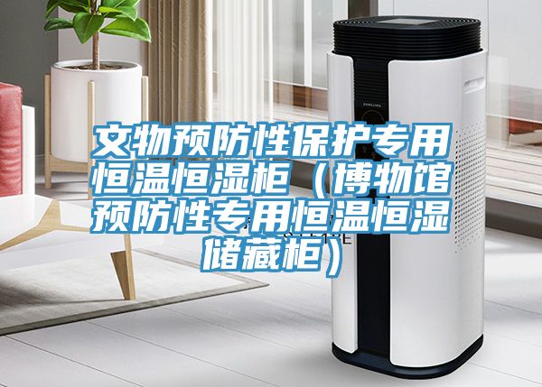 文物預防性保護專用恒溫恒濕柜(博物館預防性專用恒溫恒濕儲藏柜)