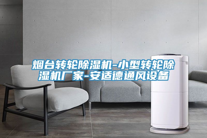 煙臺轉(zhuǎn)輪除濕機(jī)-小型轉(zhuǎn)輪除濕機(jī)廠家-安適德通風(fēng)設(shè)備