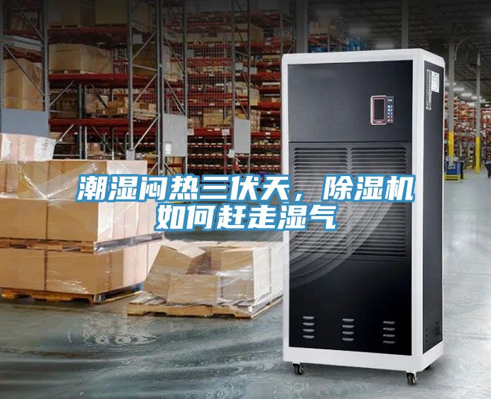 潮濕悶熱三伏天，除濕機如何趕走濕氣