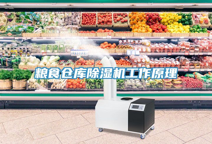 糧食倉庫除濕機(jī)工作原理