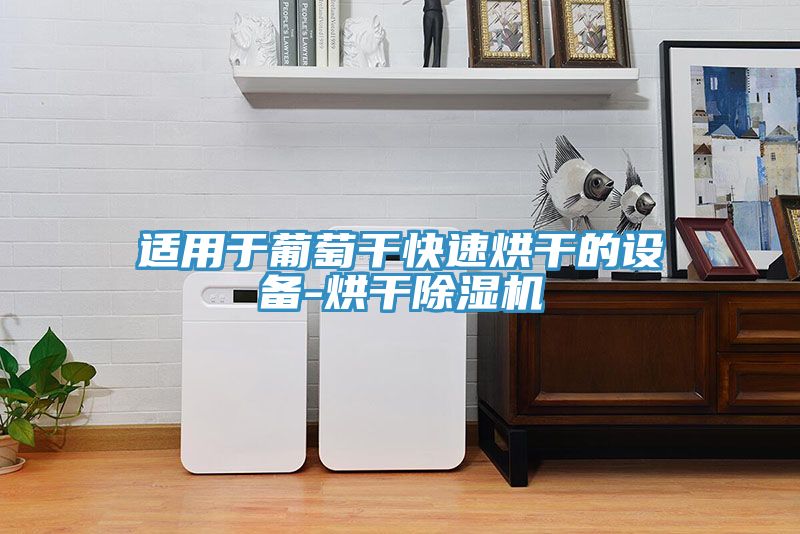適用于葡萄干快速烘干的設備-烘干除濕機