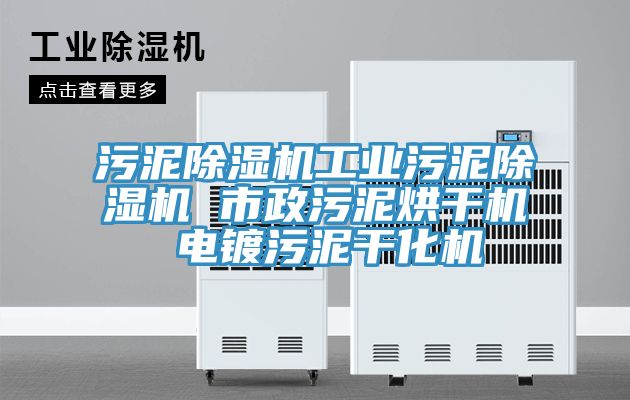 污泥除濕機(jī)工業(yè)污泥除濕機(jī) 市政污泥烘干機(jī) 電鍍污泥干化機(jī)