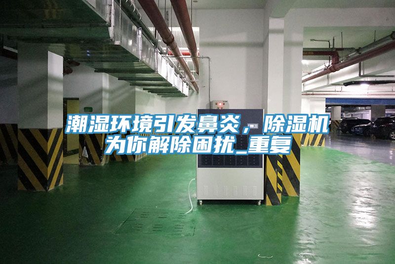 潮濕環境引發鼻炎，除濕機為你解除困擾_重復