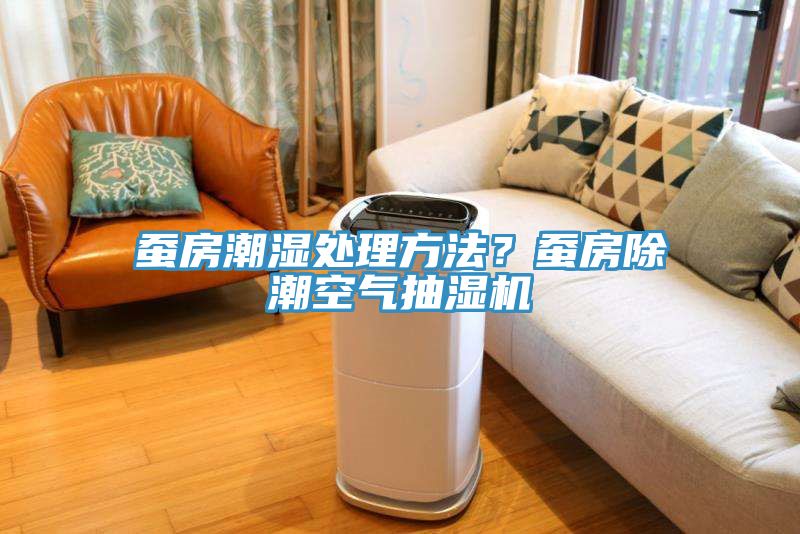 蠶房潮濕處理方法？蠶房除潮空氣抽濕機(jī)
