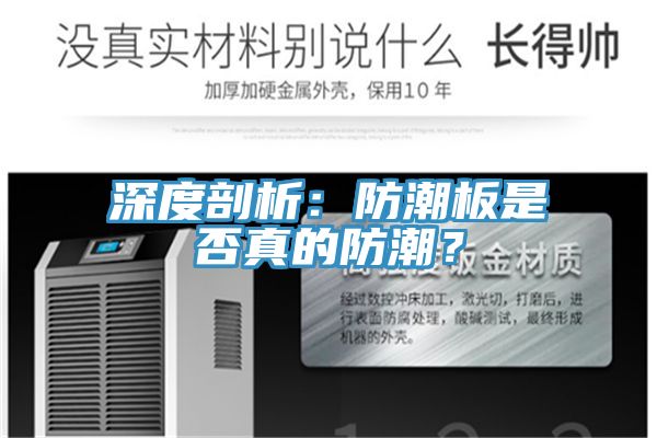深度剖析：防潮板是否真的防潮？