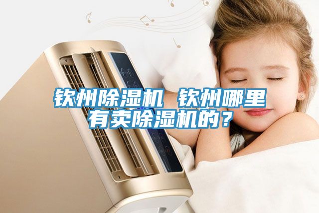 欽州除濕機 欽州哪里有賣除濕機的？