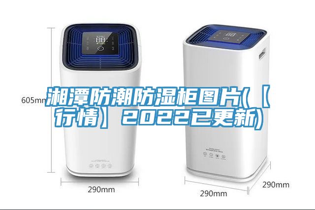 湘潭防潮防濕柜圖片(【行情】2022已更新)