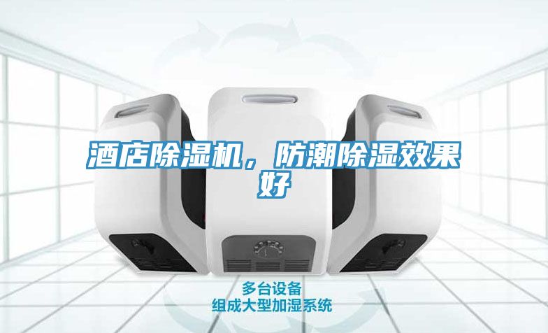 酒店除濕機,防潮除濕效果好