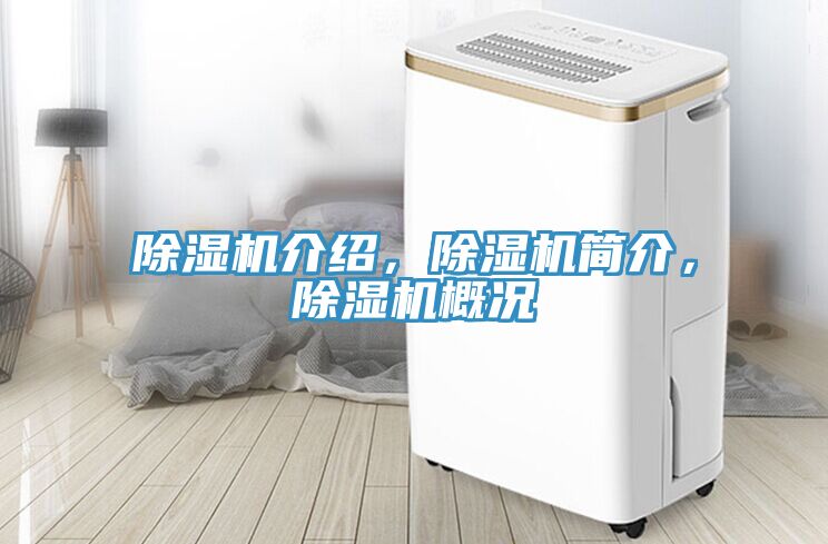 除濕機介紹，除濕機簡介，除濕機概況