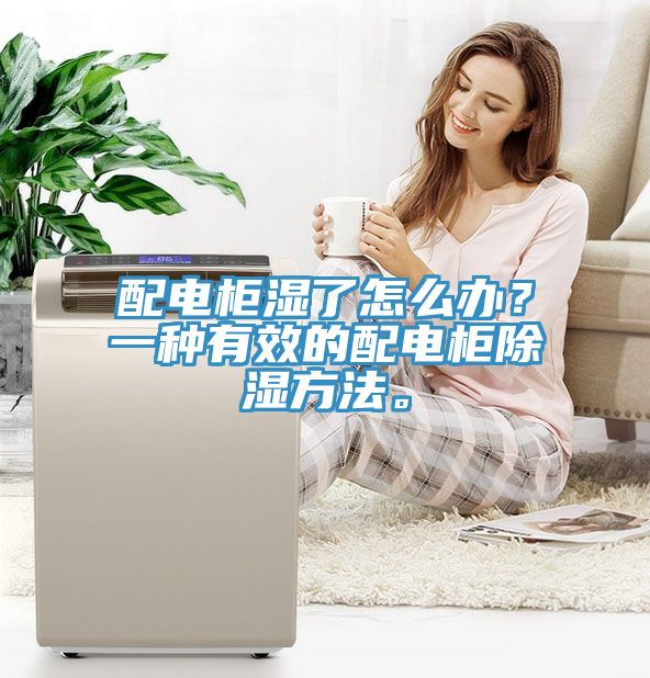 配電柜濕了怎么辦？一種有效的配電柜除濕方法。