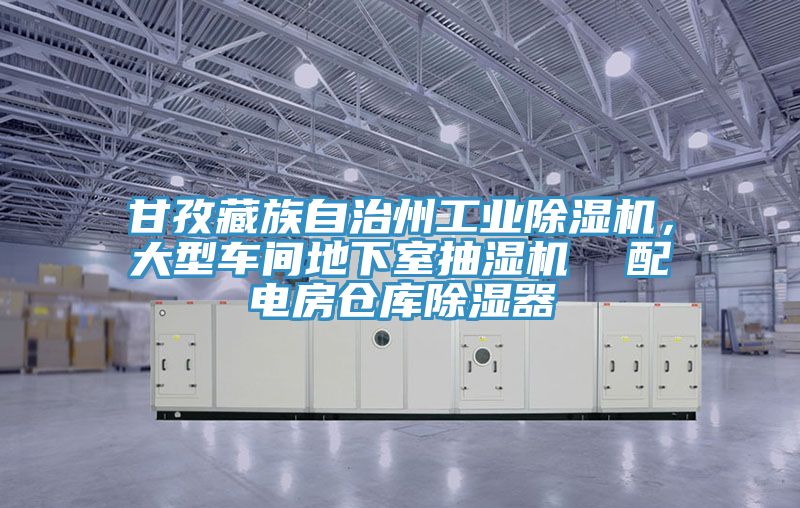 甘孜藏族自治州工業(yè)除濕機，大型車間地下室抽濕機  配電房倉庫除濕器