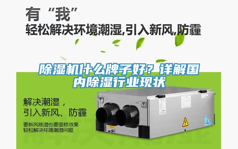 除濕機什么牌子好？詳解國內除濕行業現狀