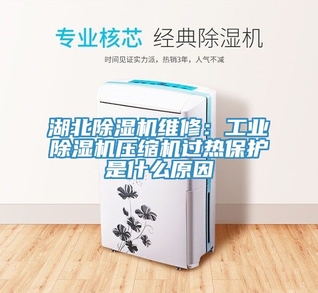 湖北除濕機維修：工業除濕機壓縮機過熱保護是什么原因