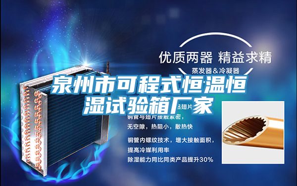 泉州市可程式恒溫恒濕試驗(yàn)箱廠家