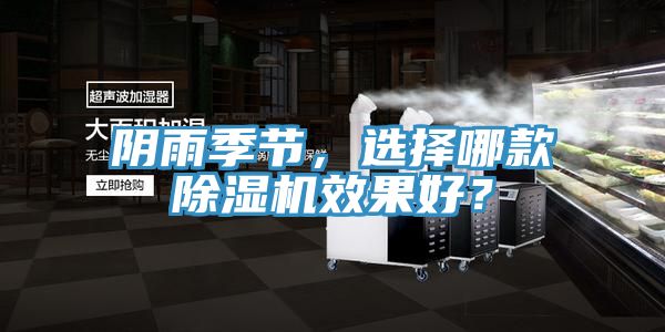 陰雨季節,選擇哪款除濕機效果好?