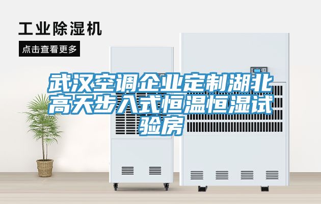 武漢空調企業定制湖北高天步入式恒溫恒濕試驗房