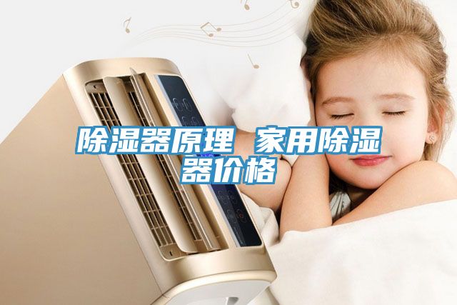 除濕器原理 家用除濕器價格