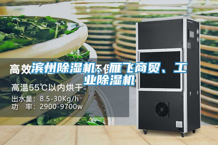 濱州除濕機、雁飛商貿、工業除濕機